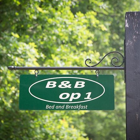 Bed & Breakfast Orvelte Экстерьер фото