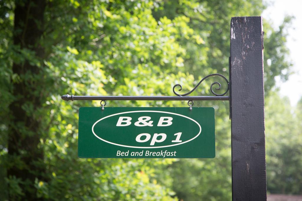 Bed & Breakfast Orvelte Экстерьер фото